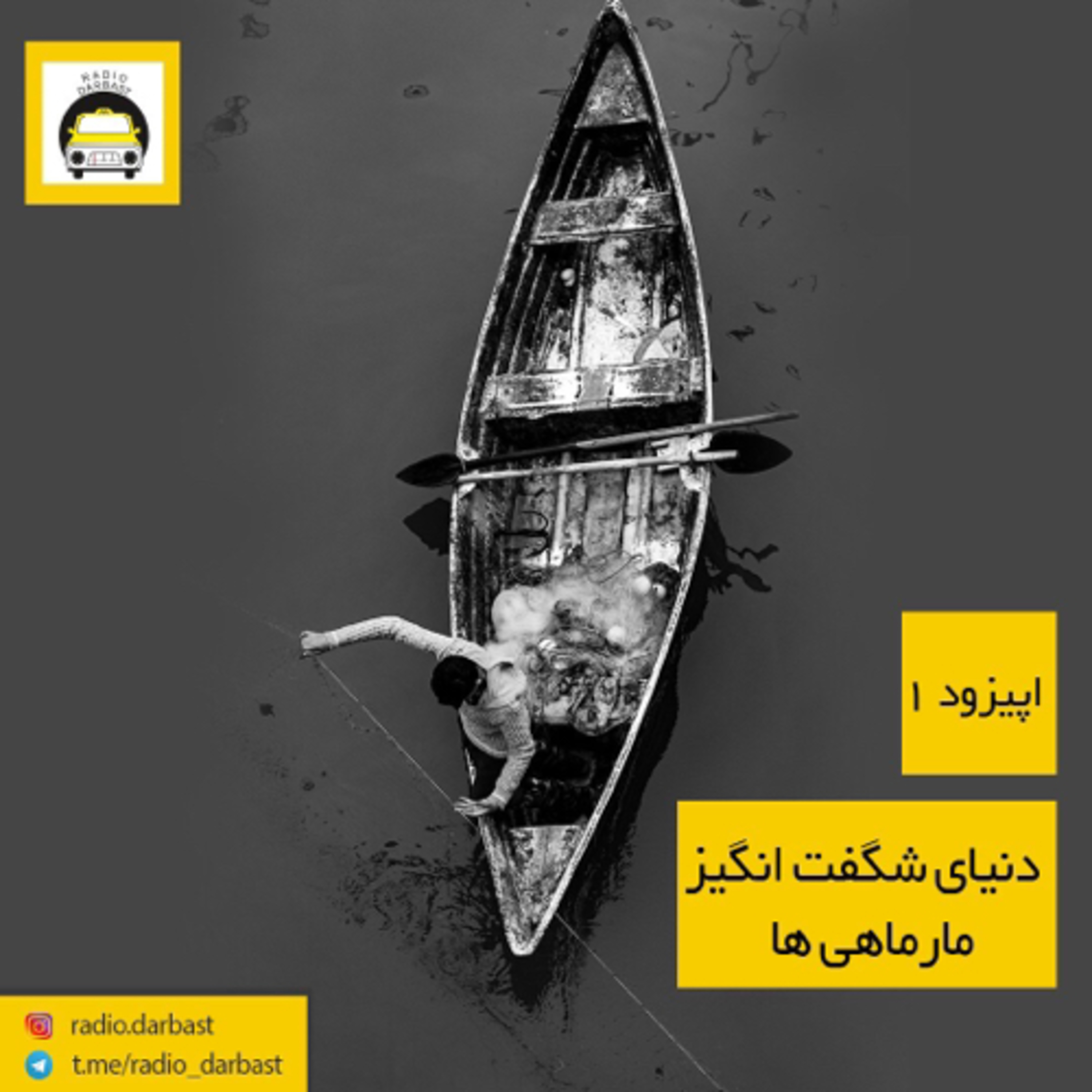 اپیزود اول رادیو دربست ، دنیای شگفت انگیز مارماهی‌ها