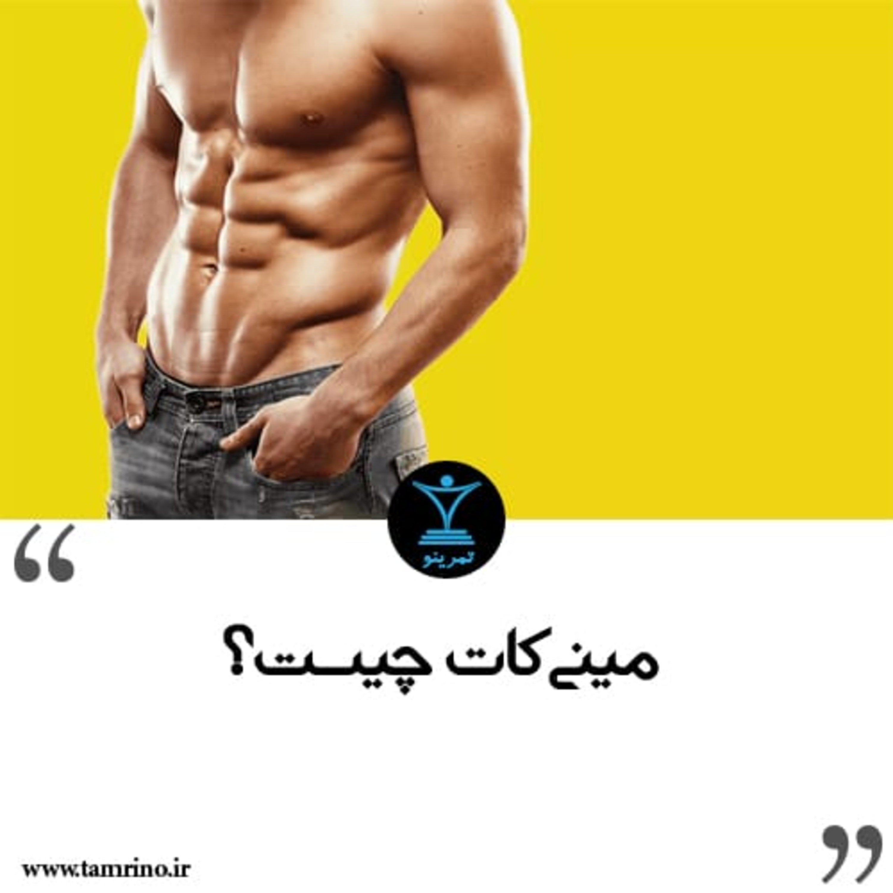 مینی کات چیست؟ (نسخه هوش مصنوعی)