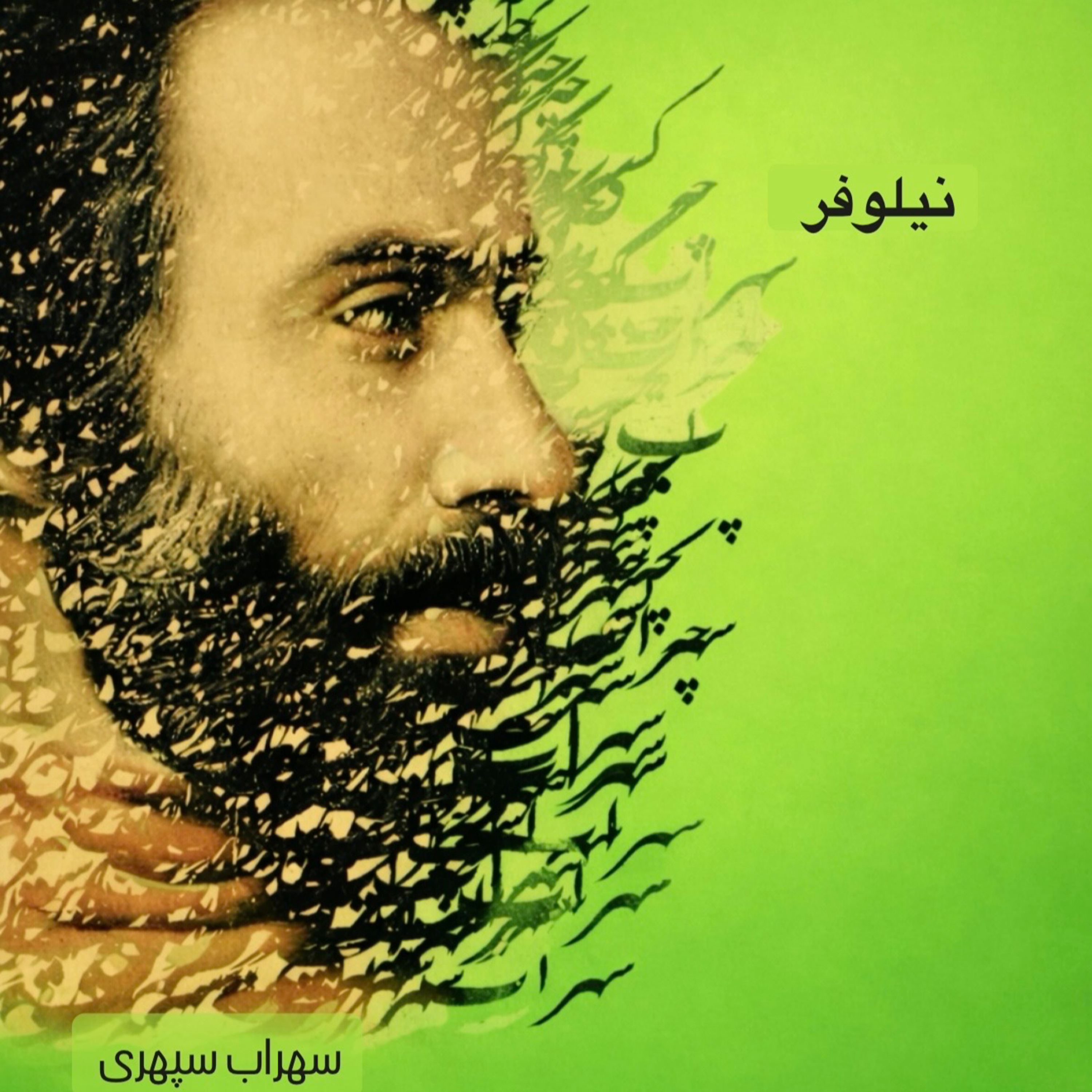 نیلوفر