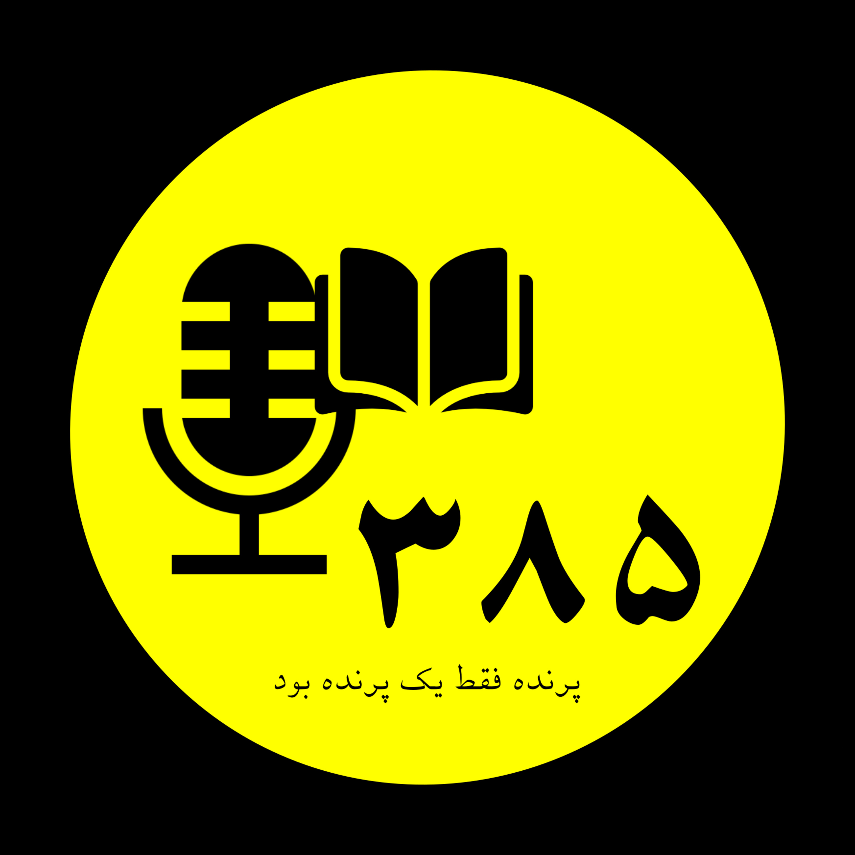 نیمه تاریک ماه - پرنده فقط یک پرنده بود