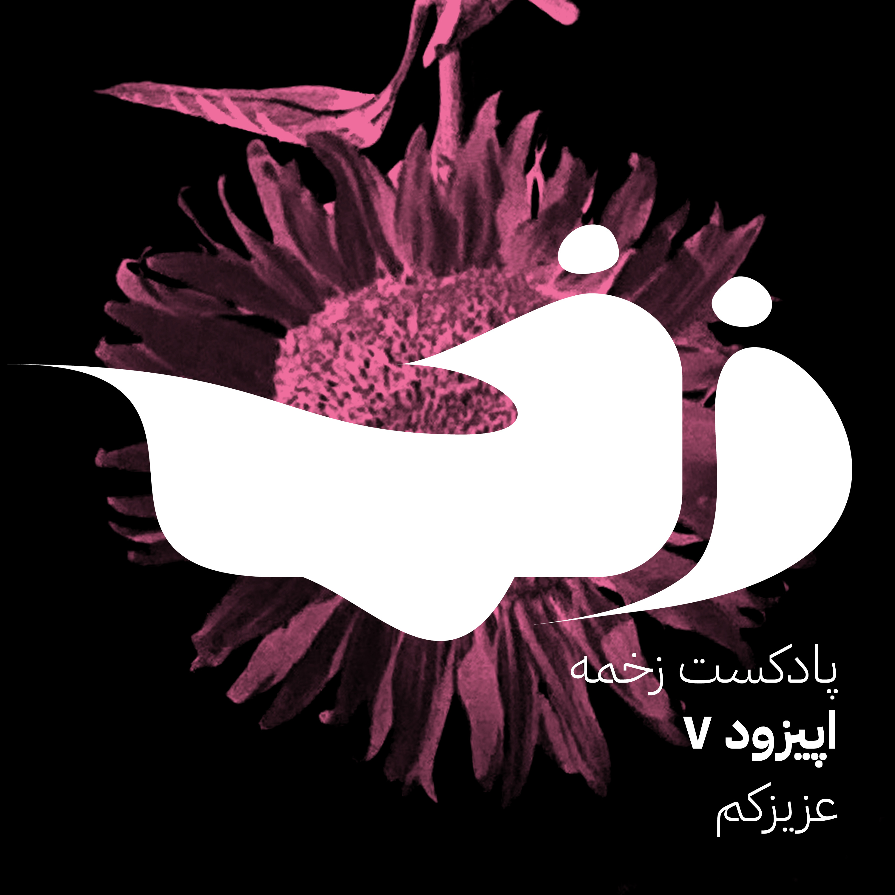 زخمه هفت: عزیزکم