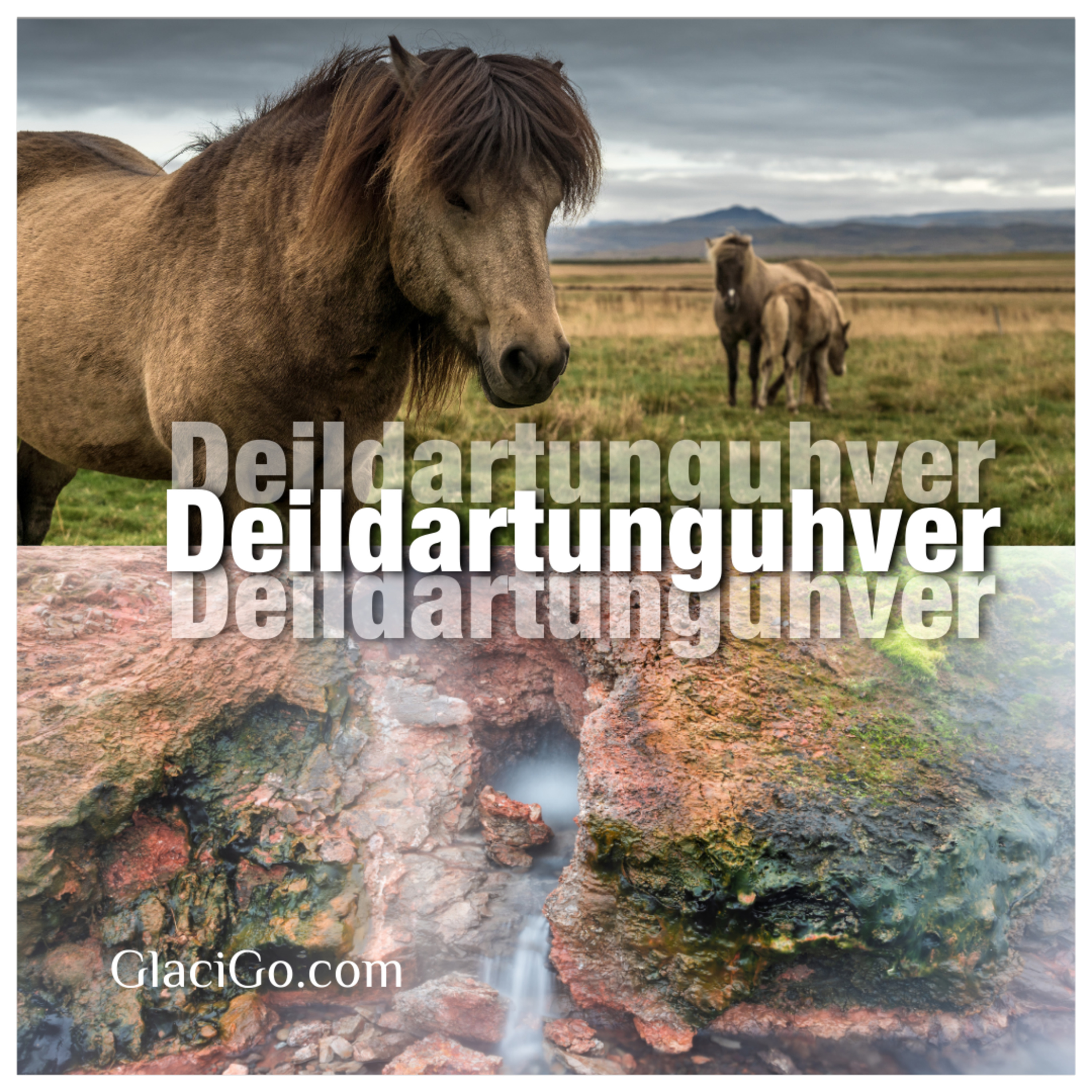 Deildartunguhver | دیلدارتونگوهوِر؛ تپش داغ زمین