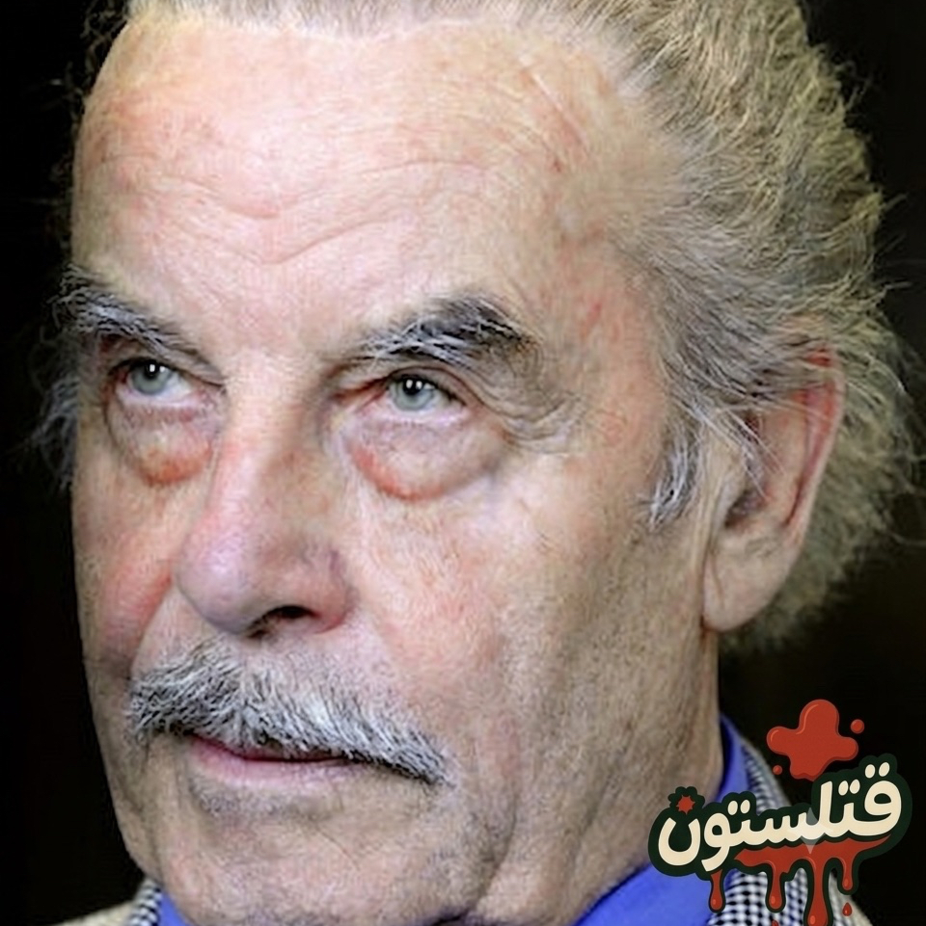 9. Josef Fritzl جوزف فریتزل قسمت دوم: نجات از قعر جهنم