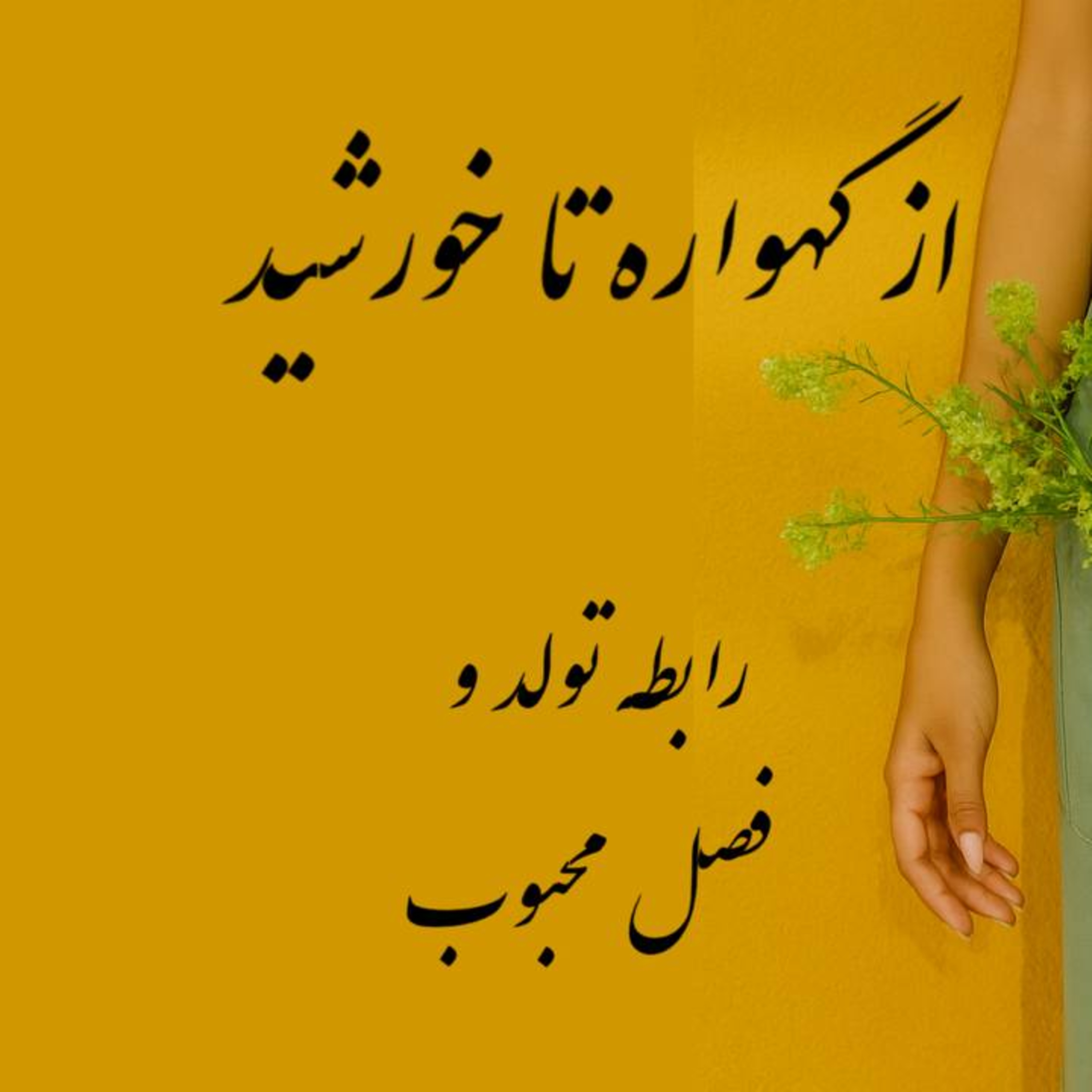 پادکست : از گهواره تا خورشید؛ رابطه تولد و فصل محبوب