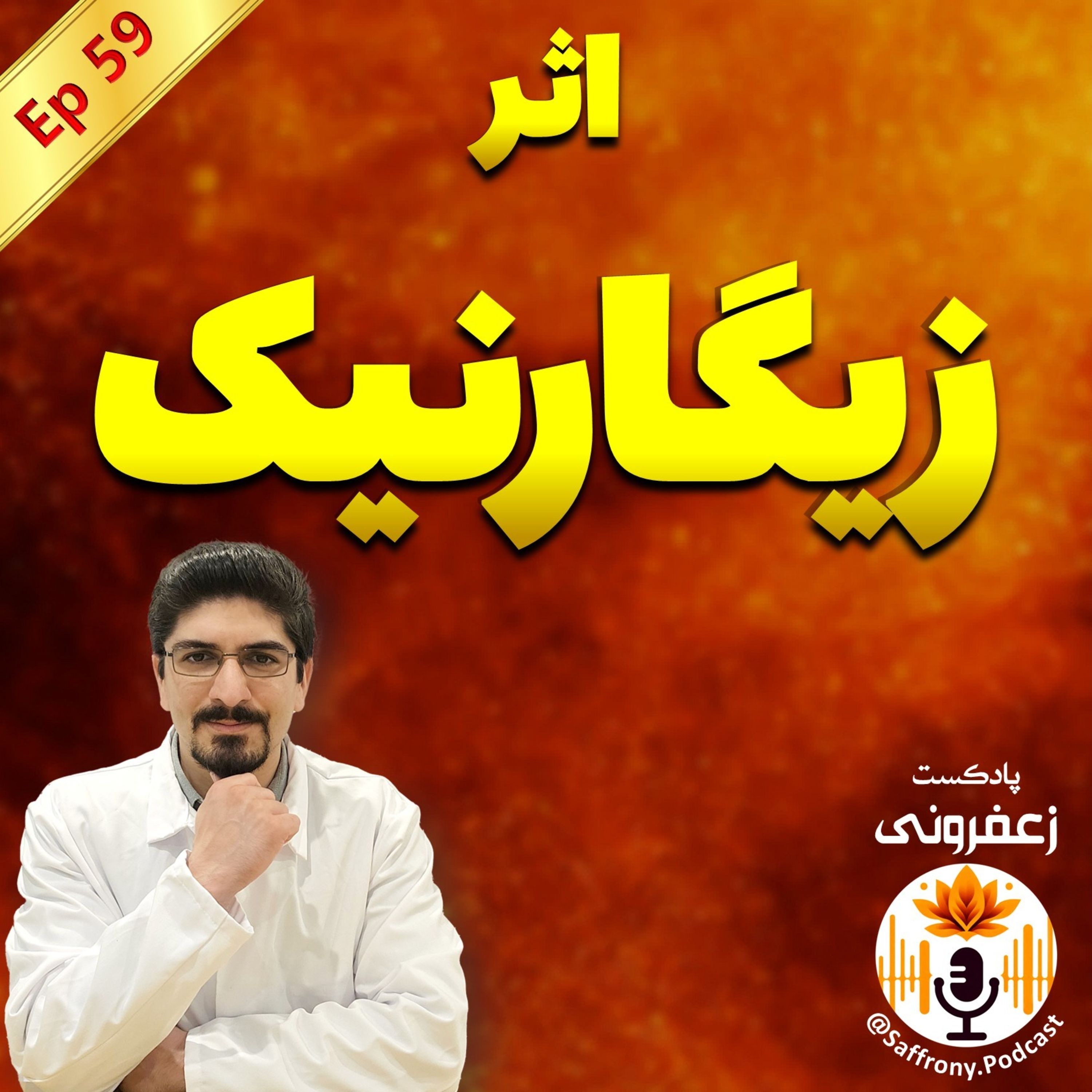 چرا کارهامون رو نصفه رها می‌کنیم؟ Zeigarnik Effect اثر زیگارنیک به زبان ساده | اپیزود 59