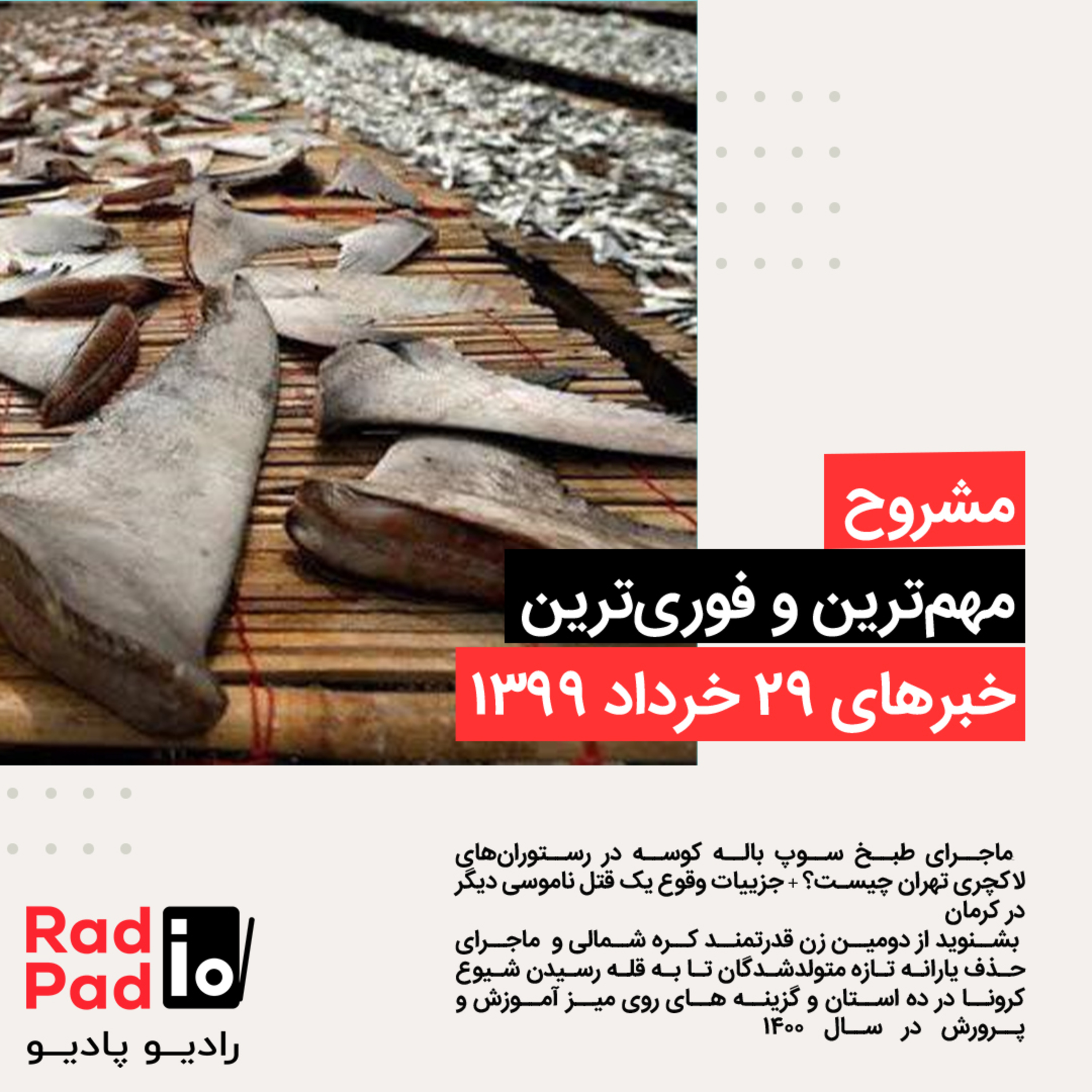 ماجرای طبخ سوپ باله کوسه در رستوران‌های لاکچری تهران - 99.03.29