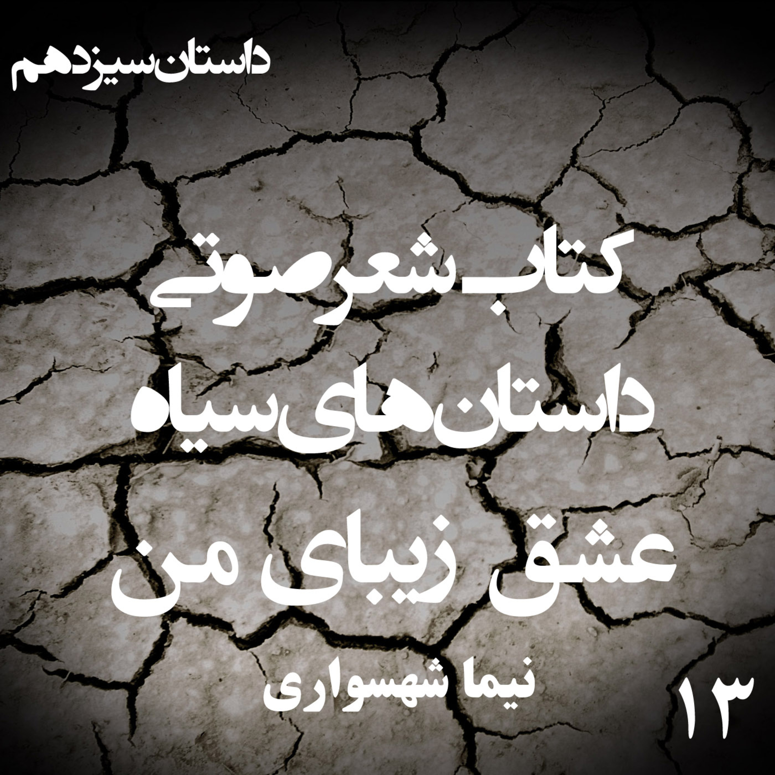 داستان منظوم عشق زیبای من؛ اثر نیما شهسواری: تراژدیِ اسارت و شکوهِ بخشش