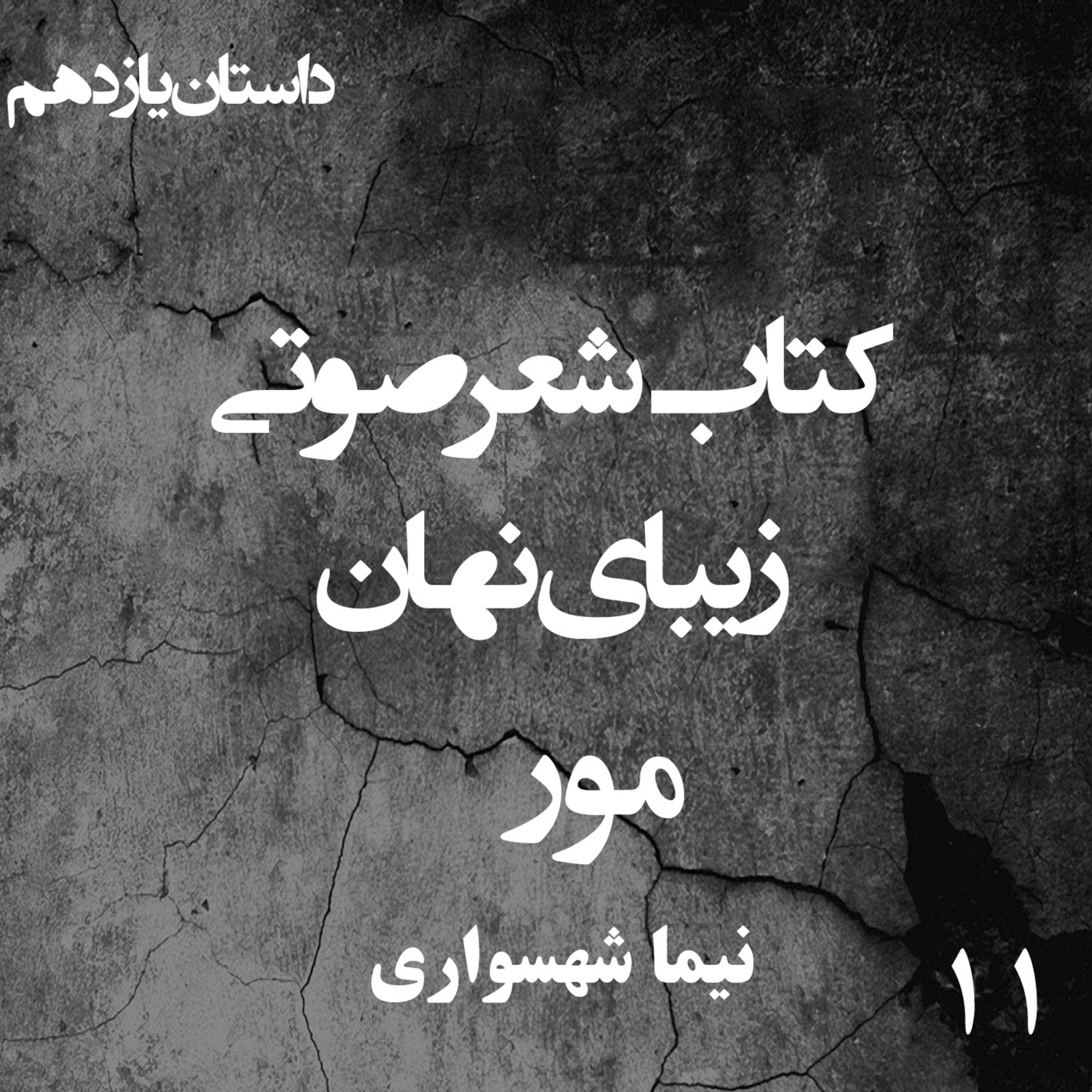 کتاب شعر صوتی زیبای نهان؛ داستان کوتاه مور: تقابل اتحاد موران و انزوای انسان