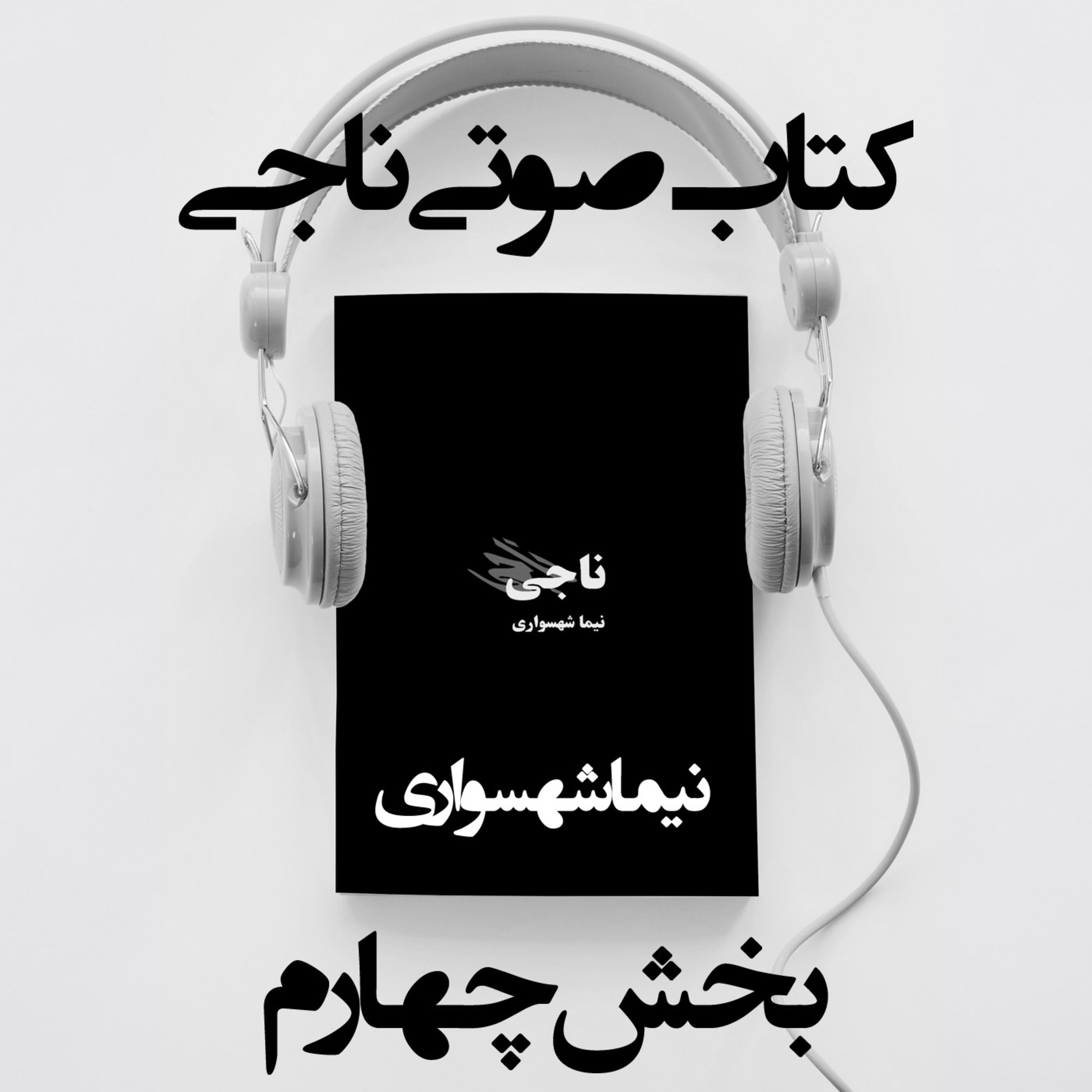 کتاب صوتی ناجی؛ اثر نیما شهسواری؛ بخش چهارم: عبور از سیم‌خاردار و افشایِ پشت‌پرده‌ی قدرت