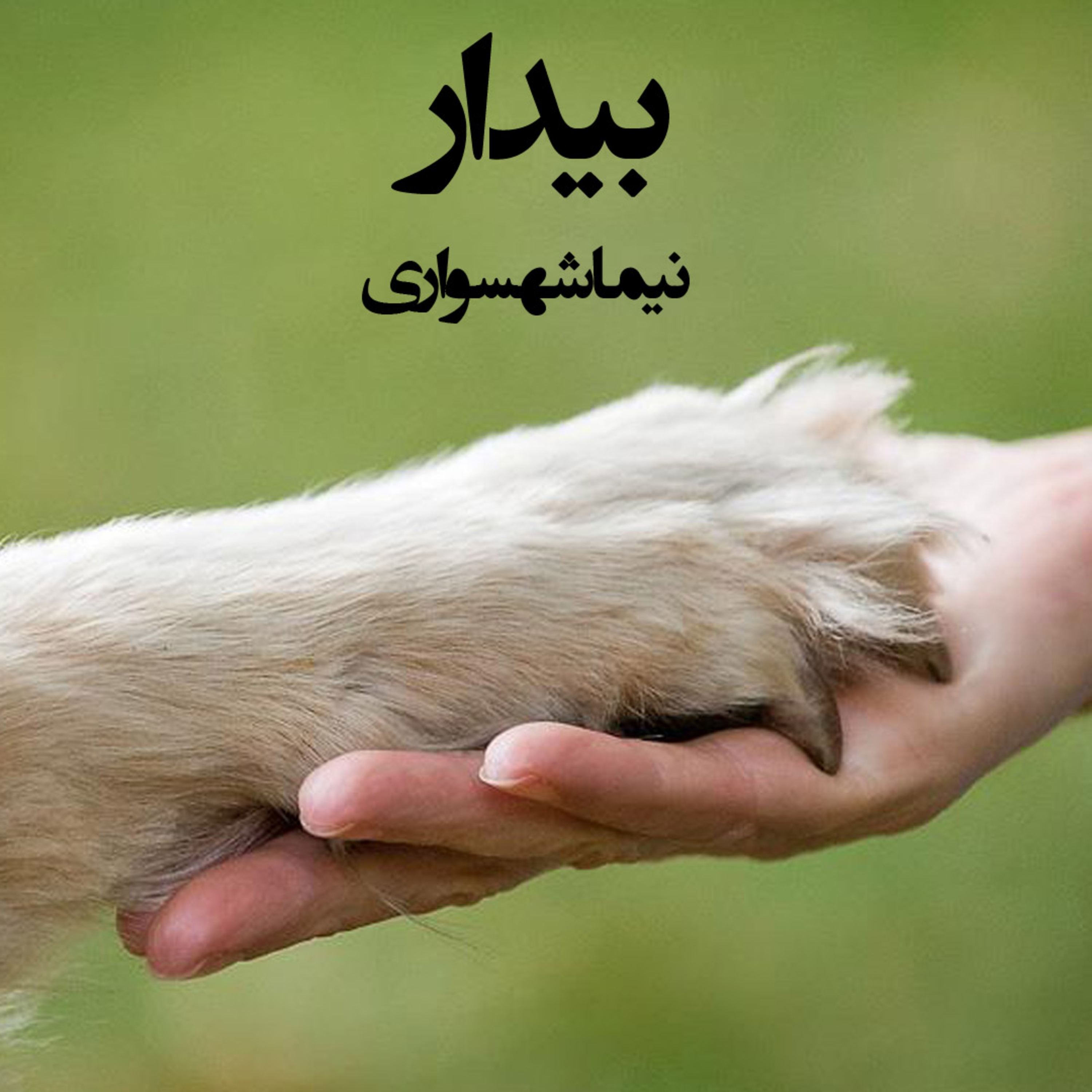 شعر بیدار؛ کتاب طغیان: عبور از انتحار و تولد دوباره منجیِ جان
