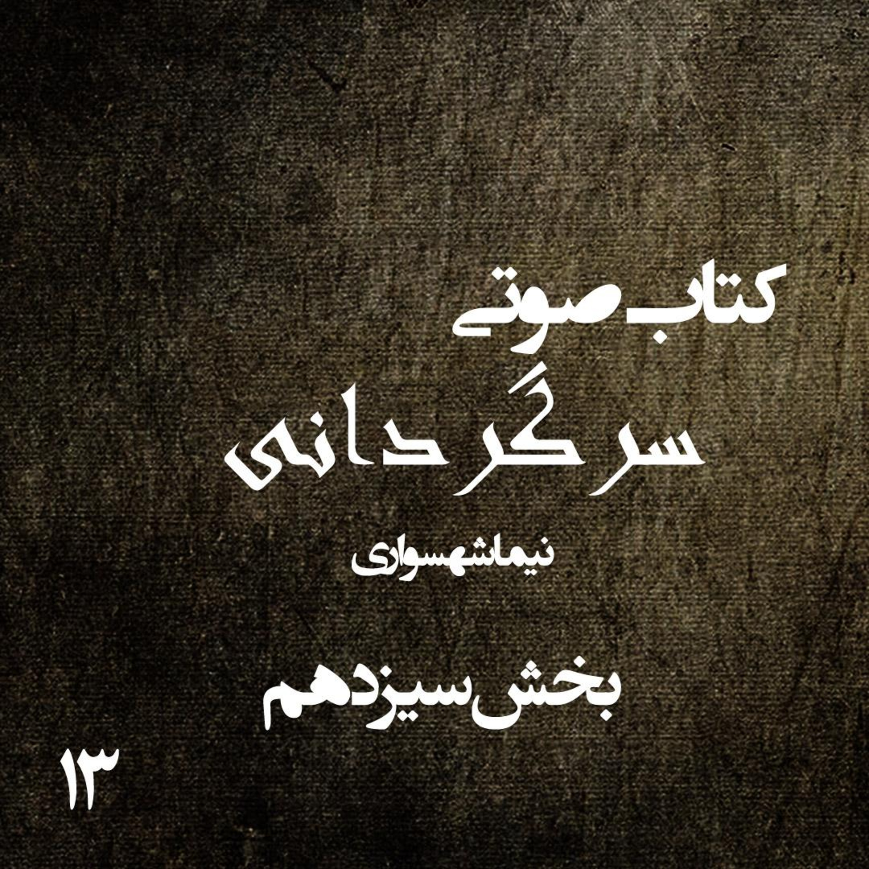 بخش سیزدهم کتاب صوتی سرگردانی؛ اثر نیما شهسواری؛ تجلیِ حقیقت بر بومِ خیال و وداع با تزویر