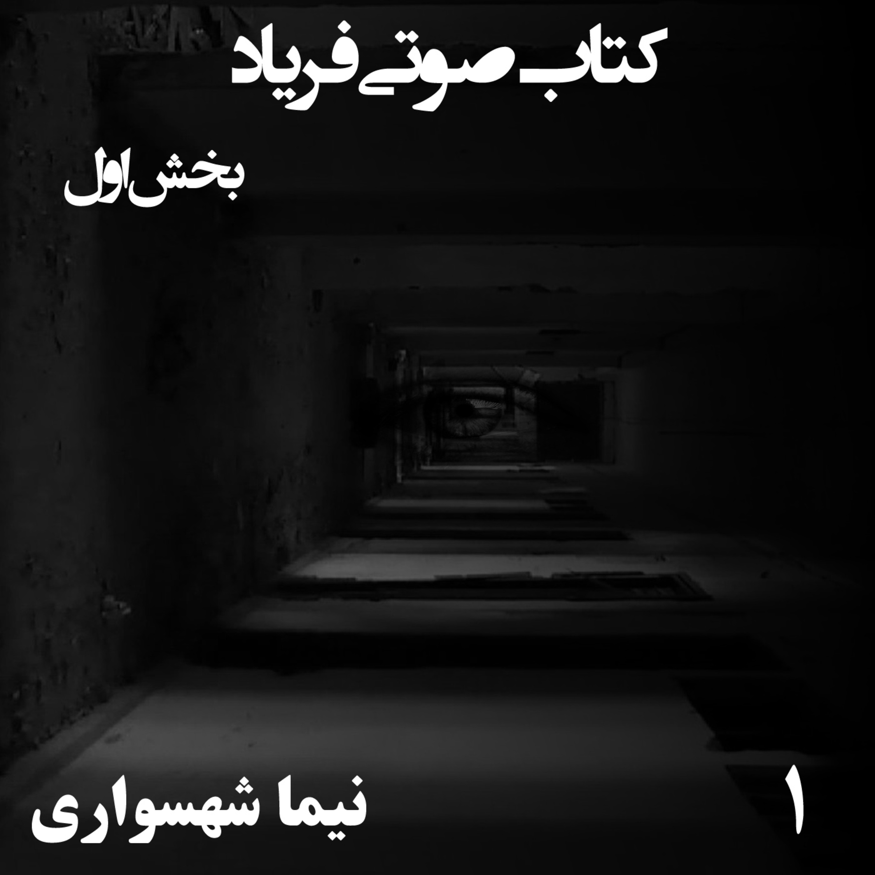 کتاب صوتی فریاد؛ اثر نیما شهسواری؛ بخش اول: واکاوی شکاف طبقاتی و وجدان بیدار