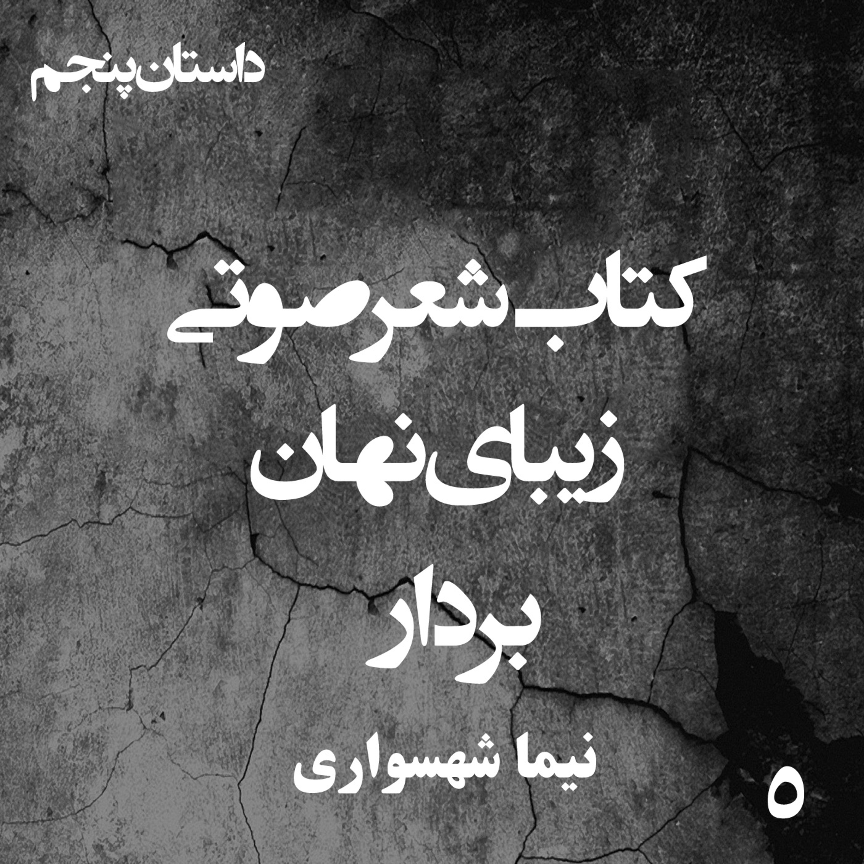 کتاب شعر صوتی زیبای نهان؛ داستان کوتاه بردار: واکاوی چرخه‌ی خشونت و اعدام