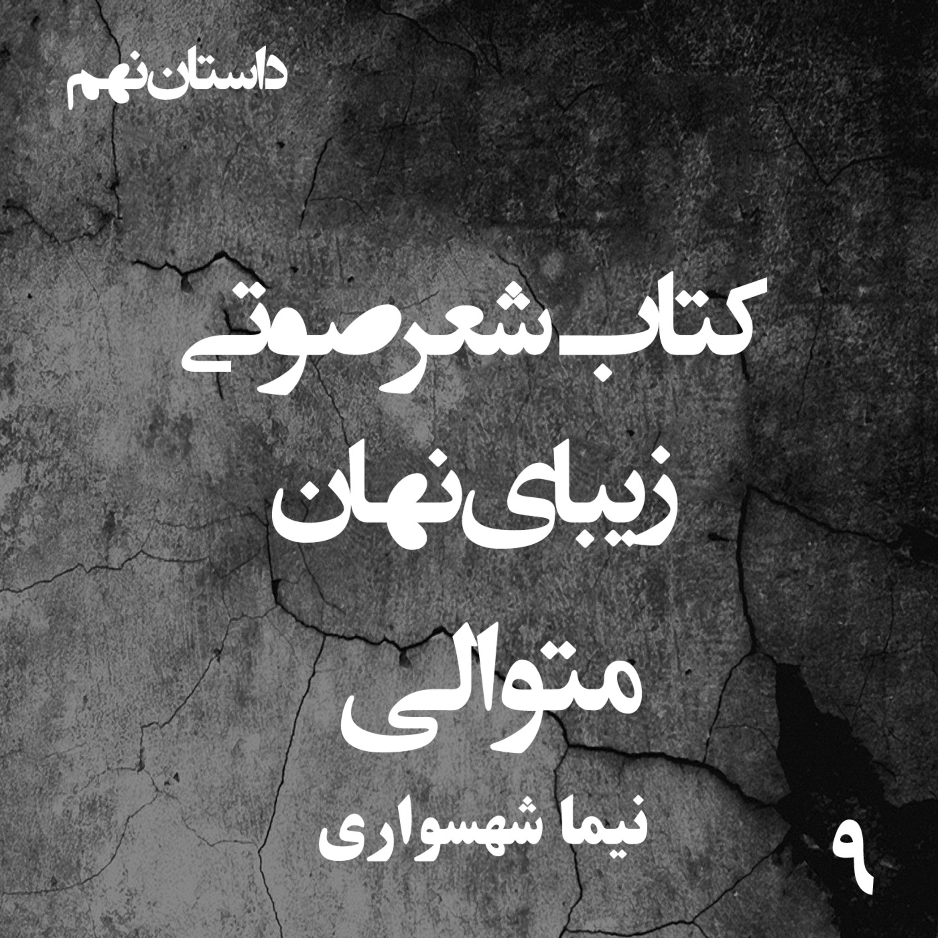 کتاب شعر صوتی زیبای نهان؛ داستان کوتاه متوالی: واکاوی چرخه‌ی بی‌پایان خشونت و تعصب