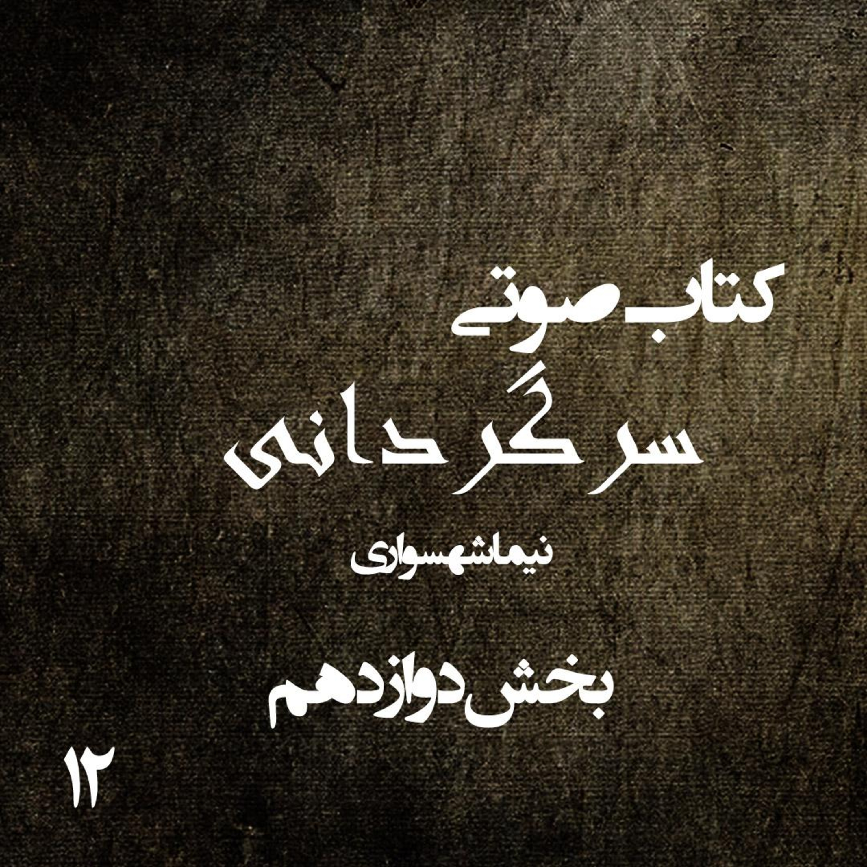 بخش دوازدهم کتاب صوتی سرگردانی؛ اثر نیما شهسواری؛ رقصِ قلم‌مو بر بومِ رنج و شکوهِ تنهایی