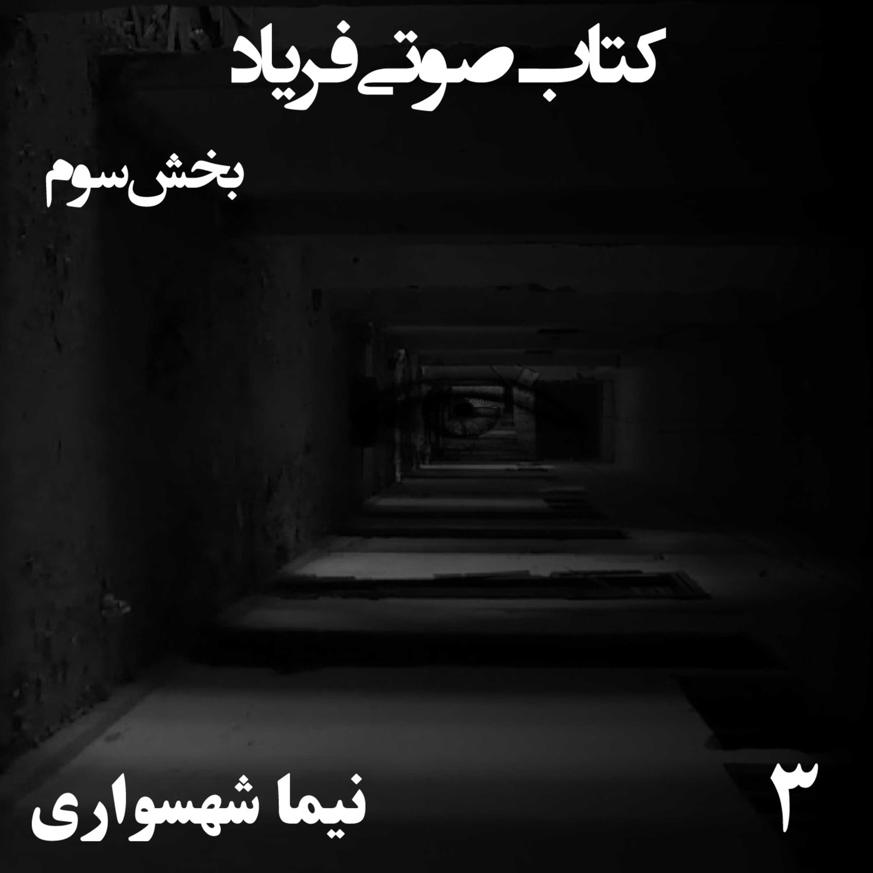 کتاب صوتی فریاد؛ اثر نیما شهسواری؛ بخش سوم: بیداری در غار تنهایی و واکاوی تابستان خونین