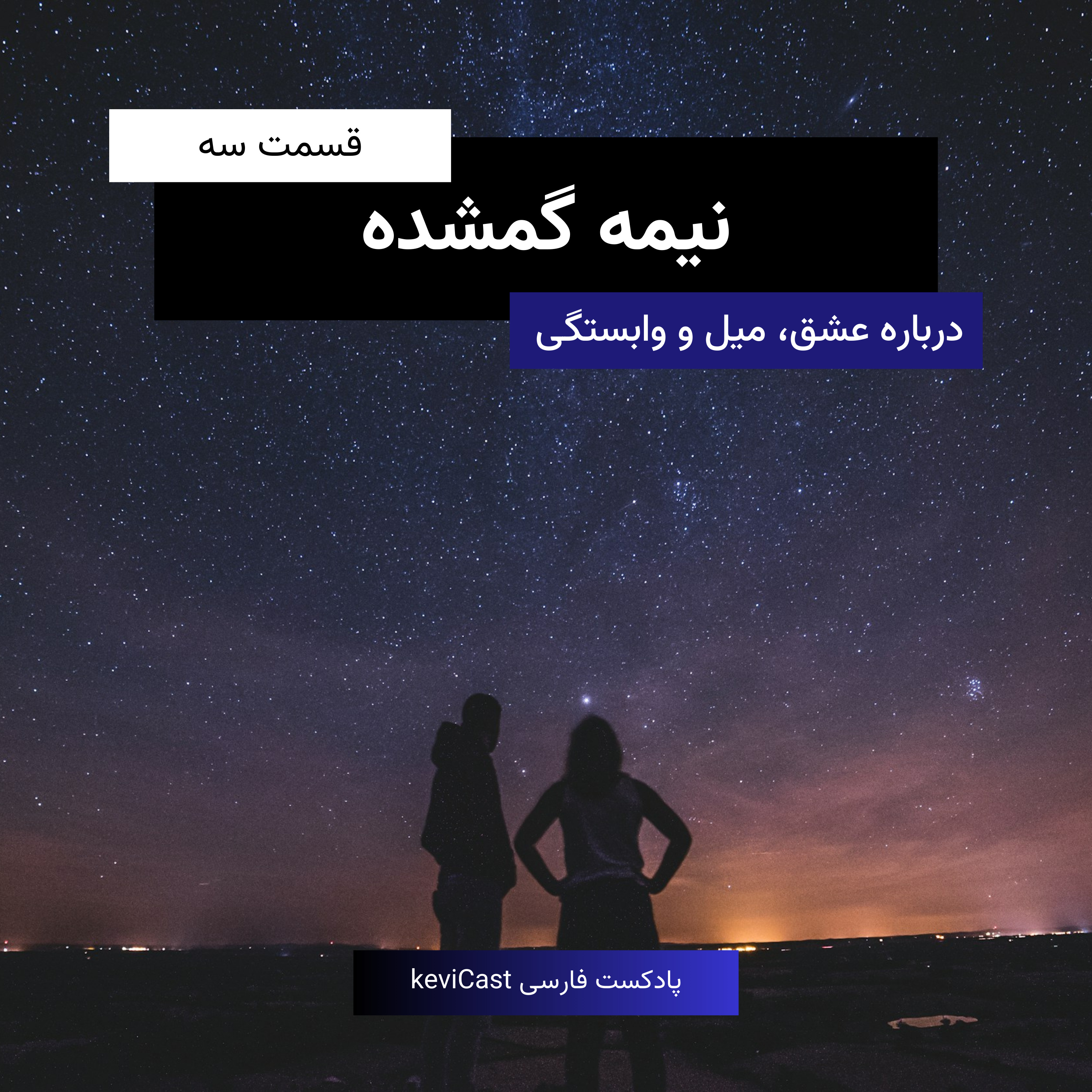 نیمه گمشده
