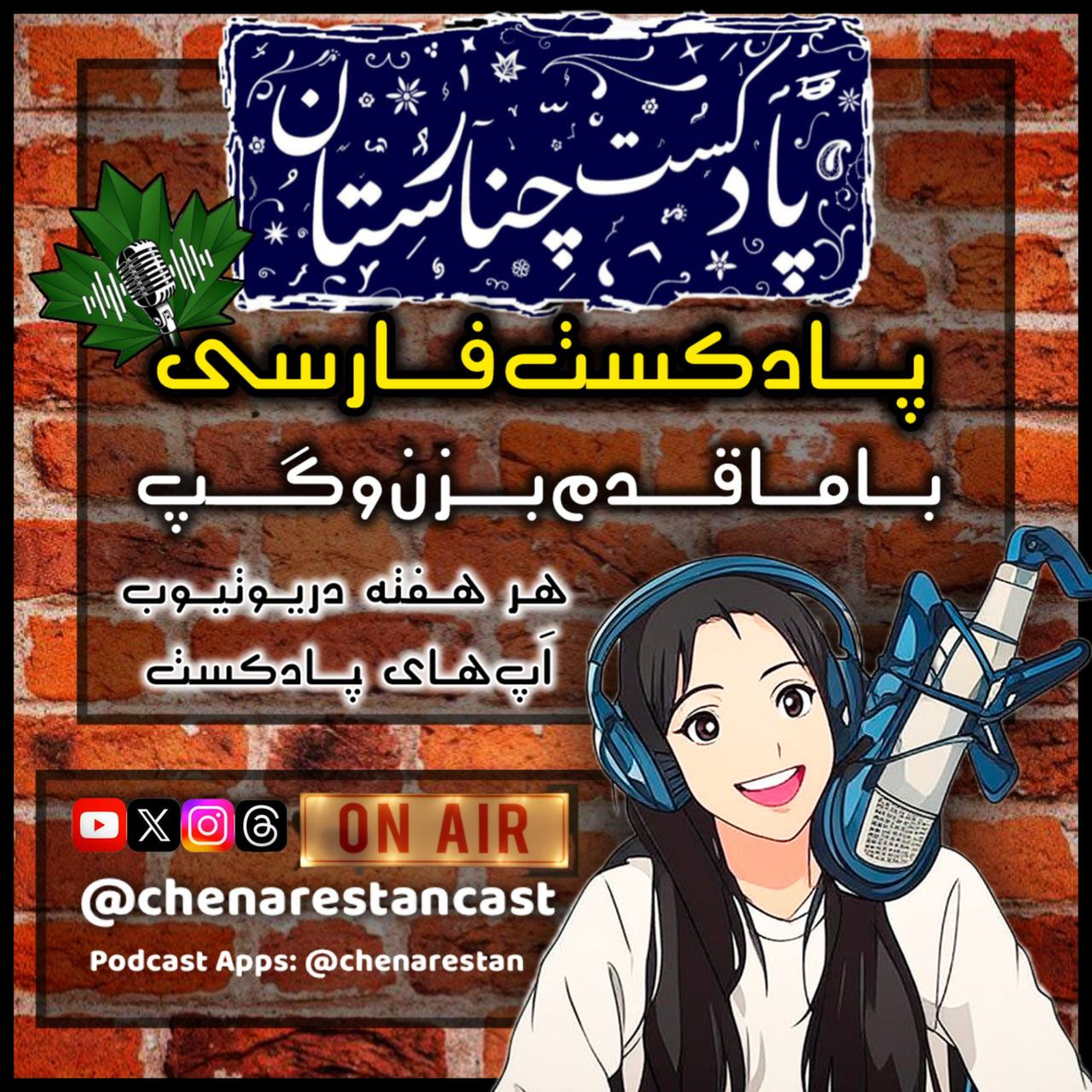 گفتگو با استاد آواز و صداسازی - پادکست فارسی چنارستان