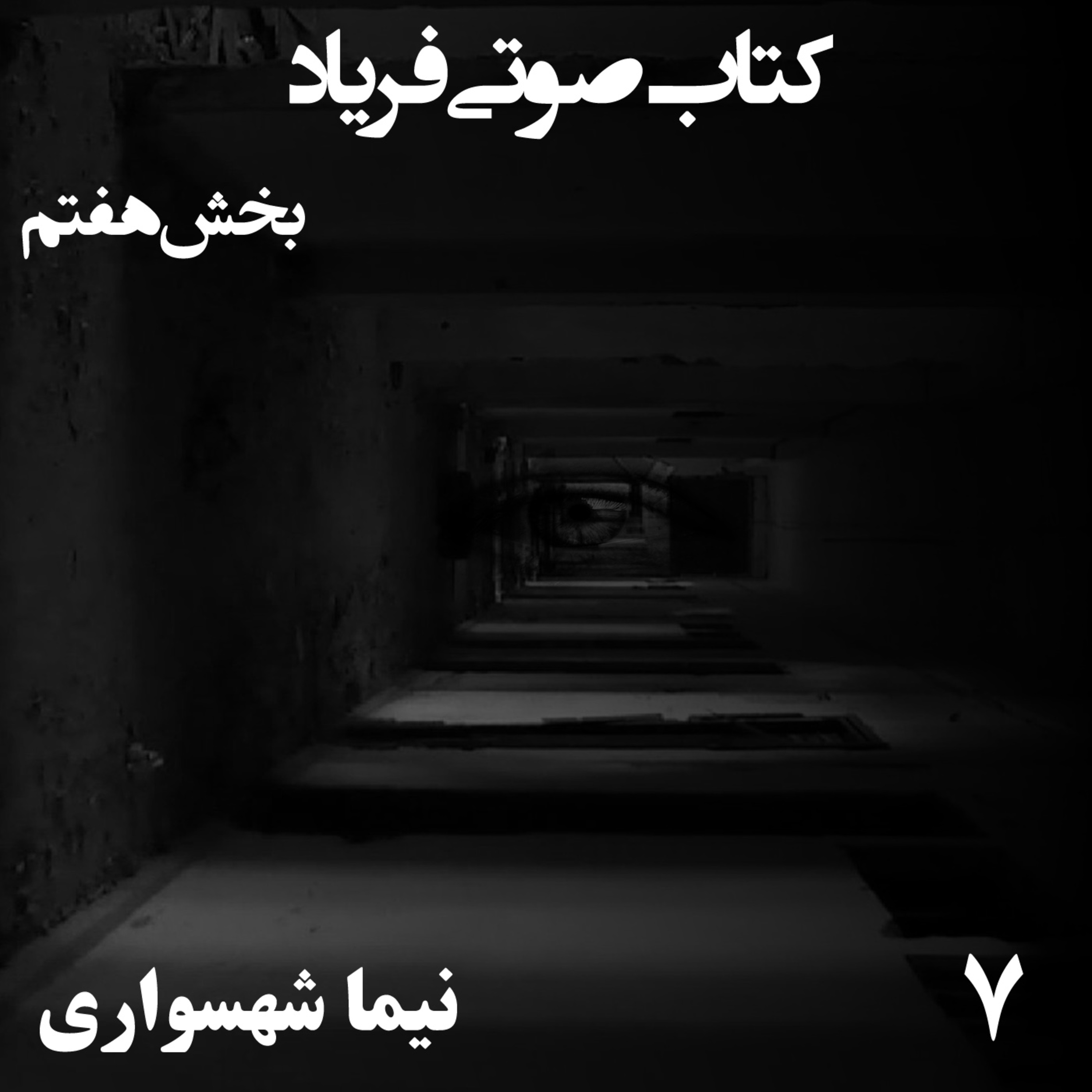 کتاب صوتی فریاد؛ اثر نیما شهسواری؛ بخش هفتم: انتخاب میان قفس و پرواز به سوی وطن