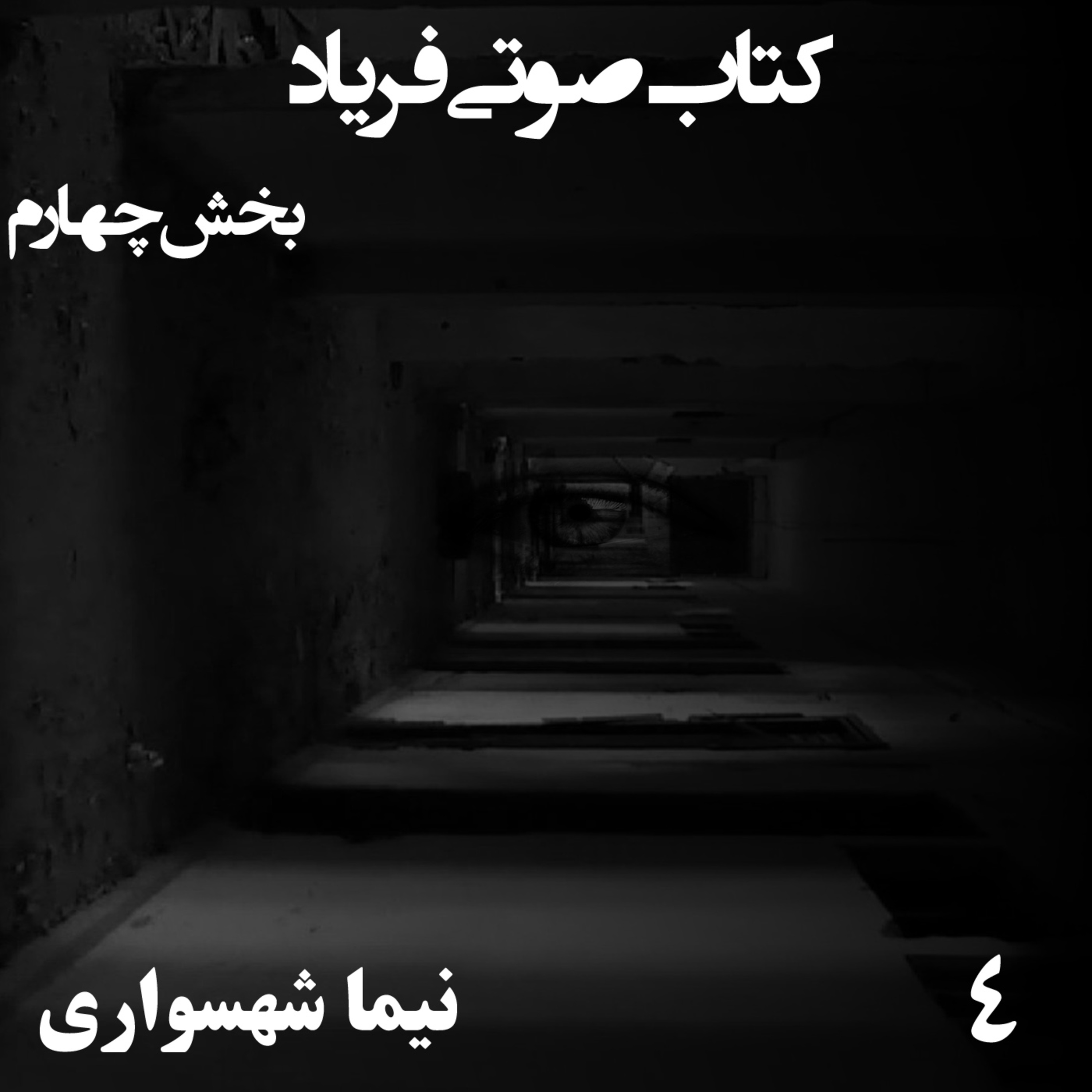 کتاب صوتی فریاد؛ اثر نیما شهسواری؛ بخش چهارم: دست‌نوشته‌های سولماز و واکاوی سال ۶۷
