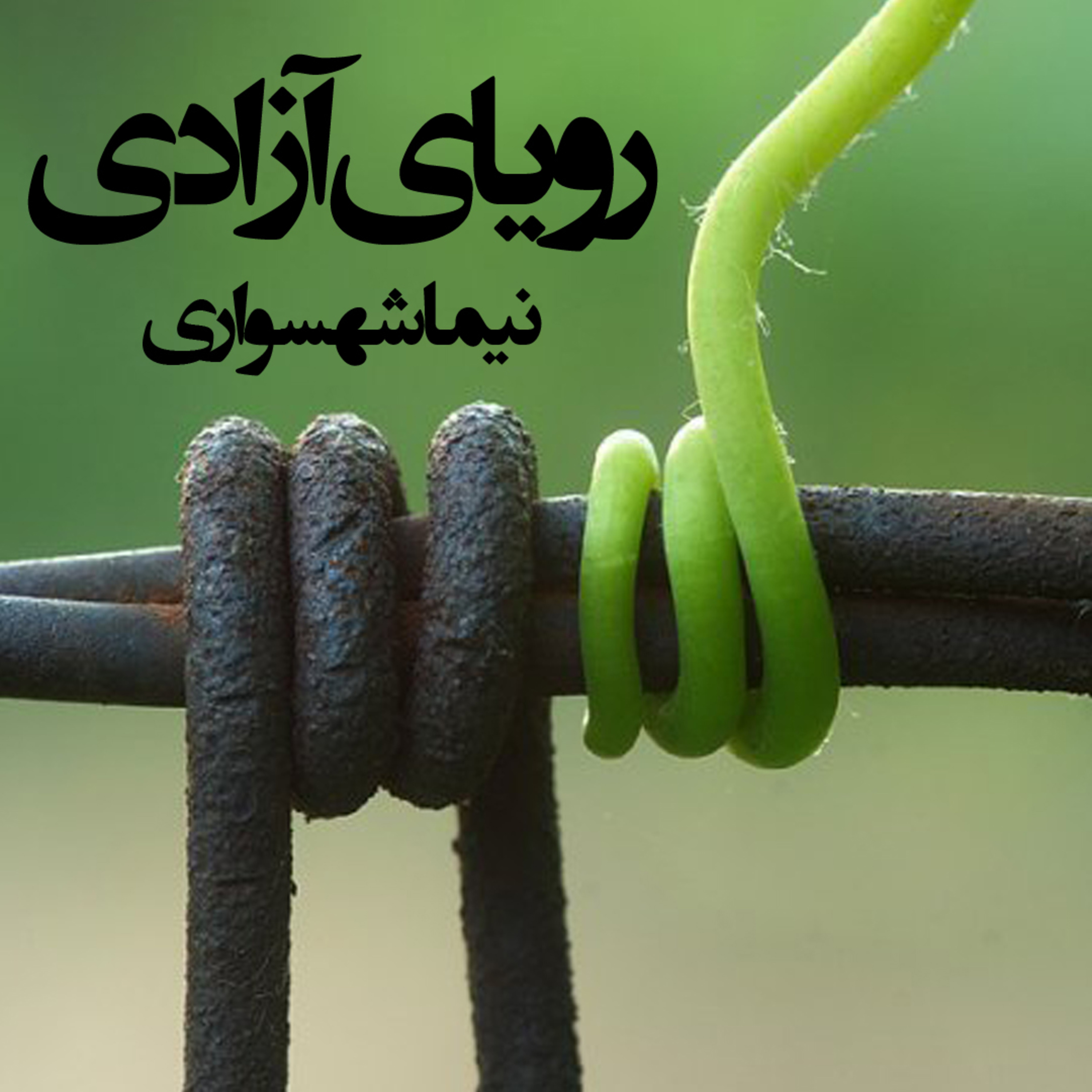 کتاب رزم‌نامه؛ شعر رویای آزادی: واکاوی آرمان‌شهرِ صلح و الغایِ برتریِ انسان‌محور