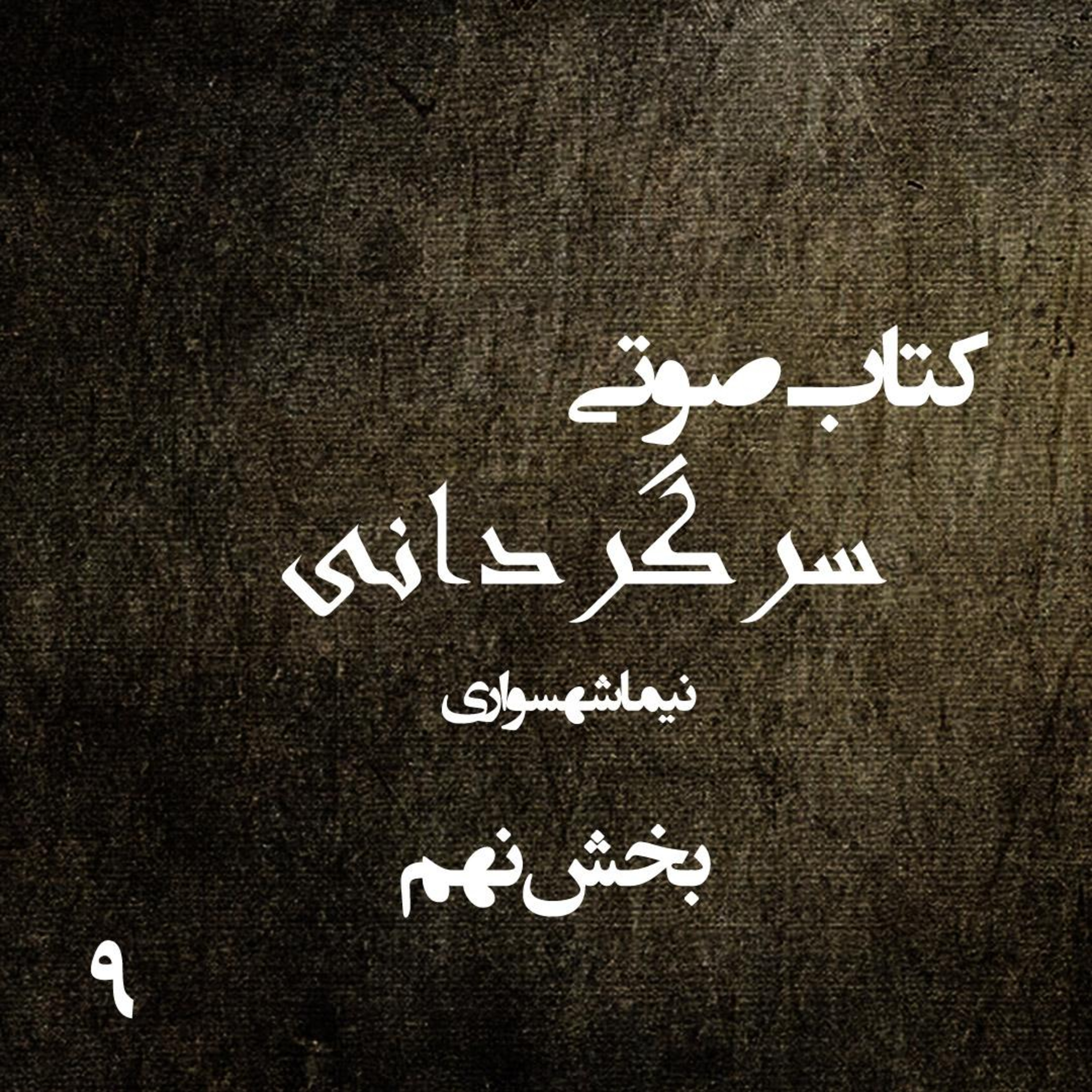 بخش نهم کتاب صوتی سرگردانی؛ اثر نیما شهسواری؛ یورش به قلمروِ حقارت‌پرستان