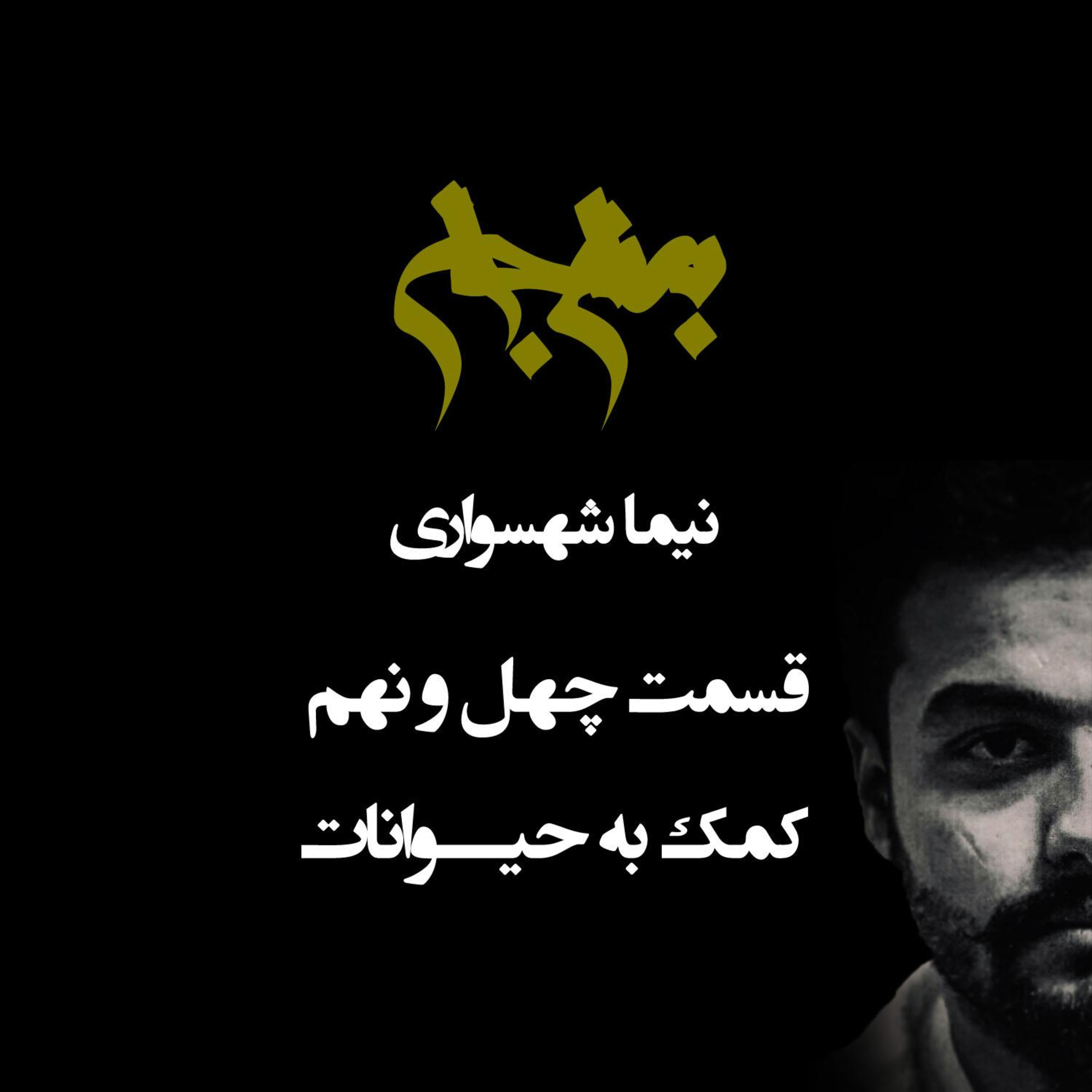 پادکست به نام جان؛ قسمت ۴۹: کمک به حیوانات؛ والاترین ارزش اخلاقی و ادای دینِ انسان