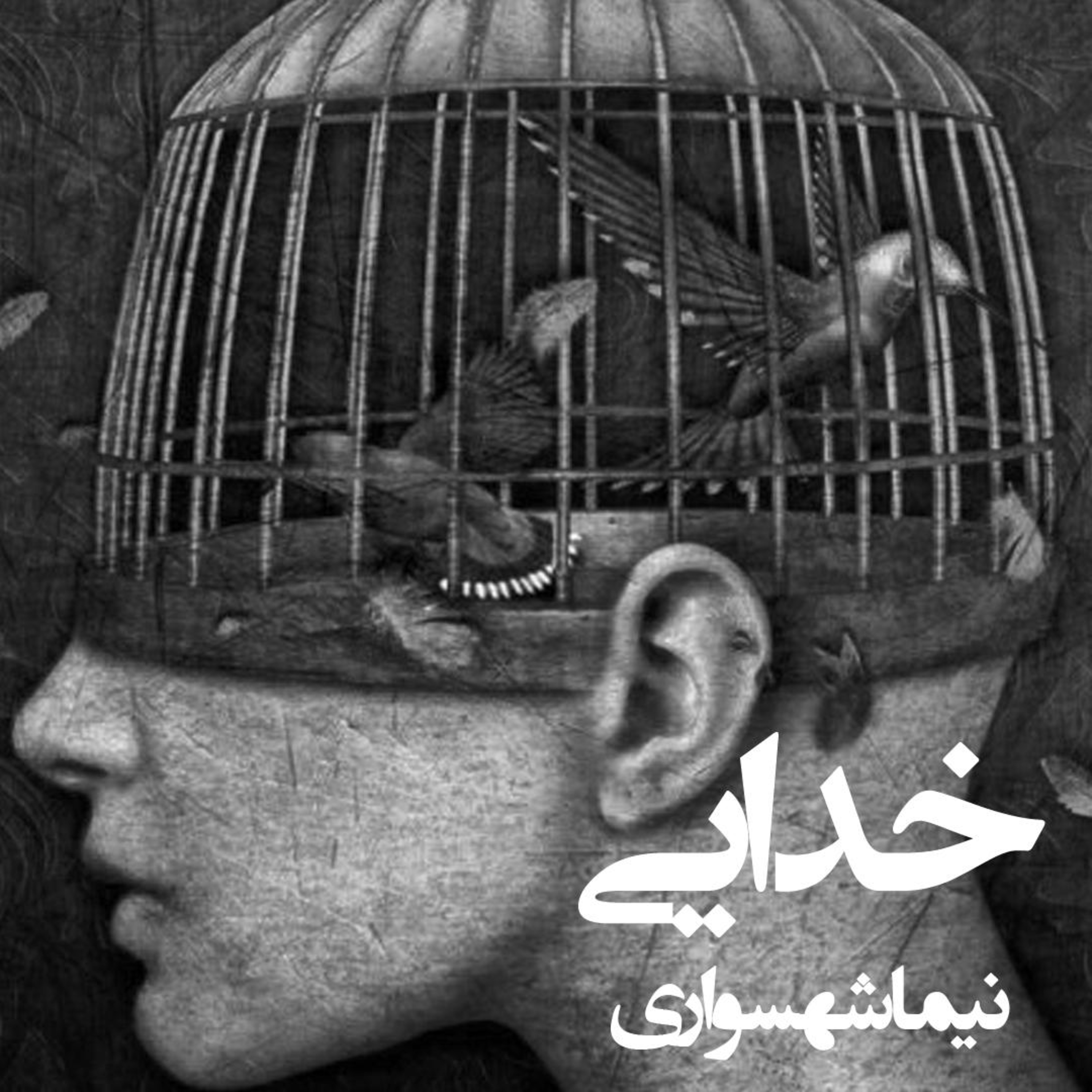 کتاب شعر صوتی رزم‌نامه - شعر خدایی - اثر نیما شهسواری