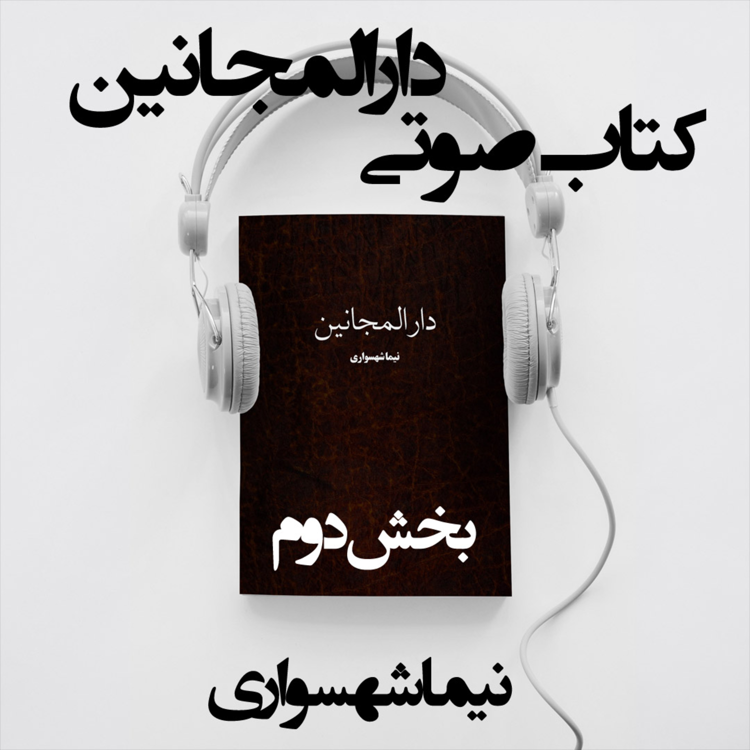 کتاب صوتی دارالمجانین؛ اثر نیما شهسواری؛ بخش دوم: خدایگانِ استیل و توهمِ قدسیت