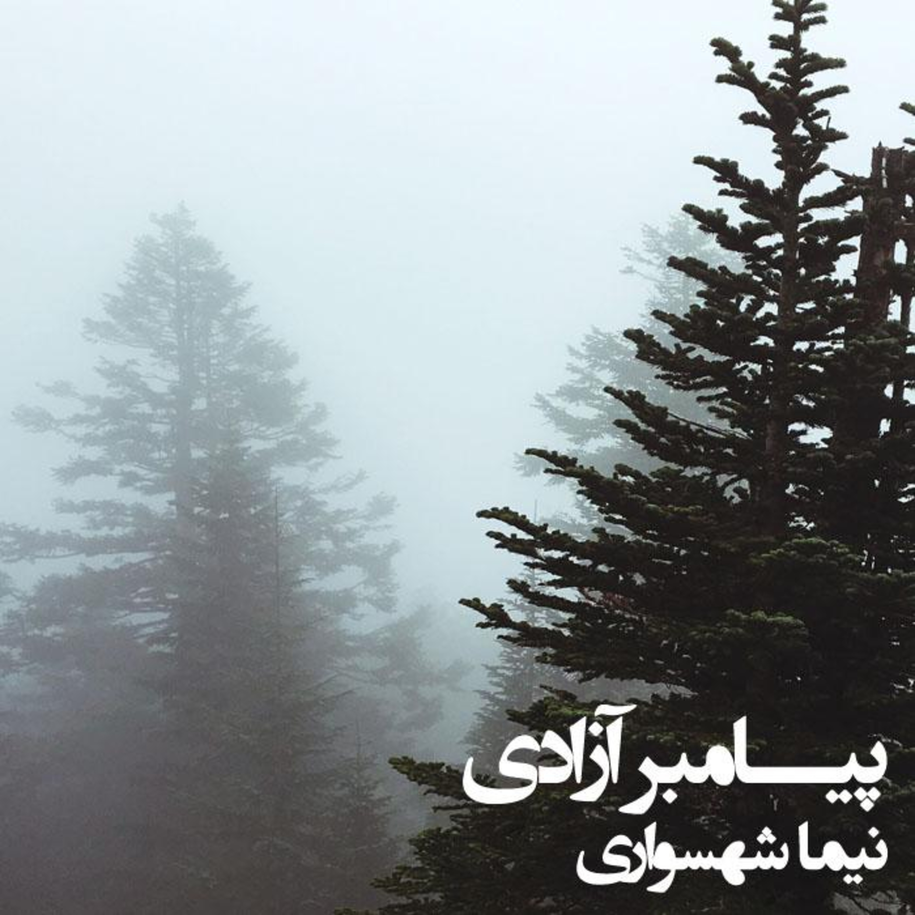 کتاب طغیان؛ شعرهای صوتی؛ پیامبر آزادی: تکثر آگاهی و زوال قدرت مطلق