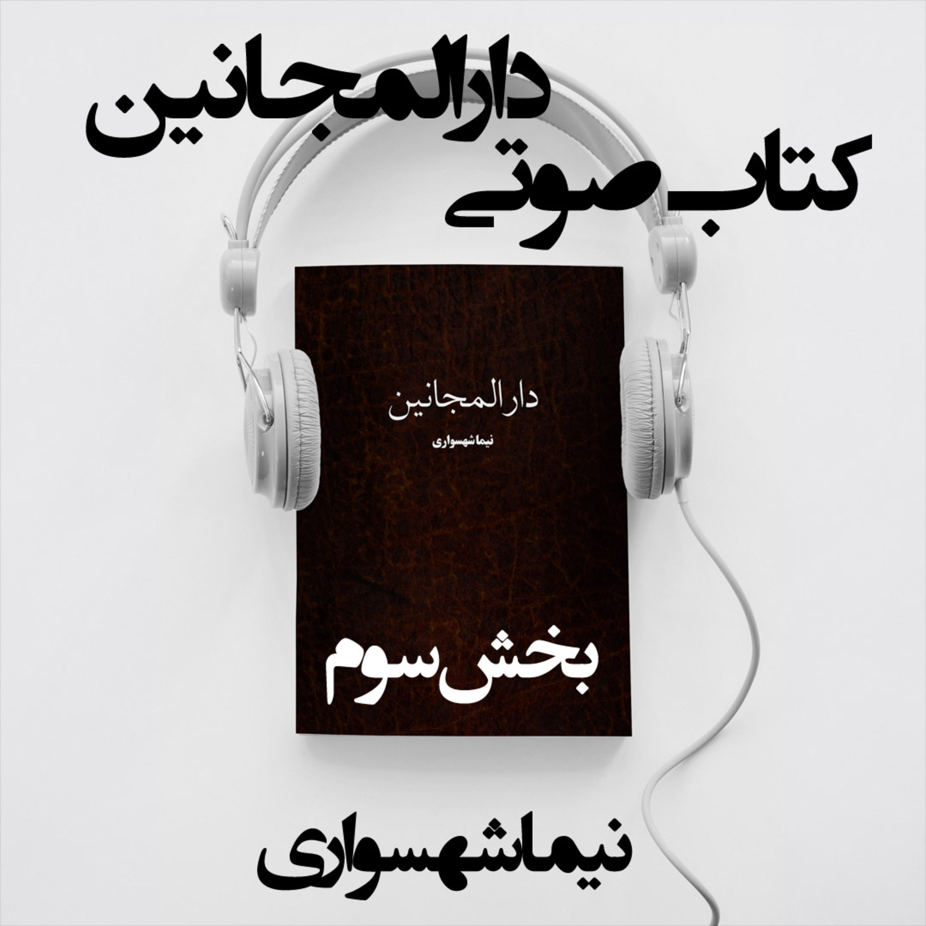 کتاب صوتی دارالمجانین؛ اثر نیما شهسواری؛ بخش سوم: عملیات تحکیم و تجارتِ تقدس