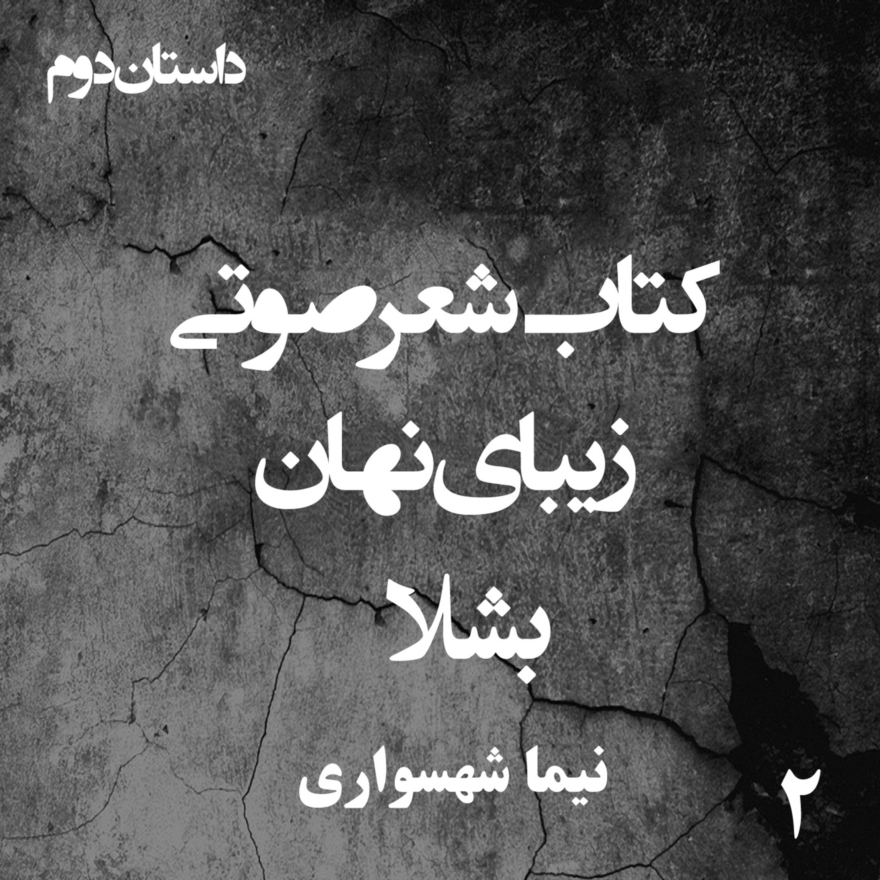 کتاب شعر صوتی زیبای نهان؛ داستان کوتاه بشلا: واکاوی بیداری و آزادی ایران