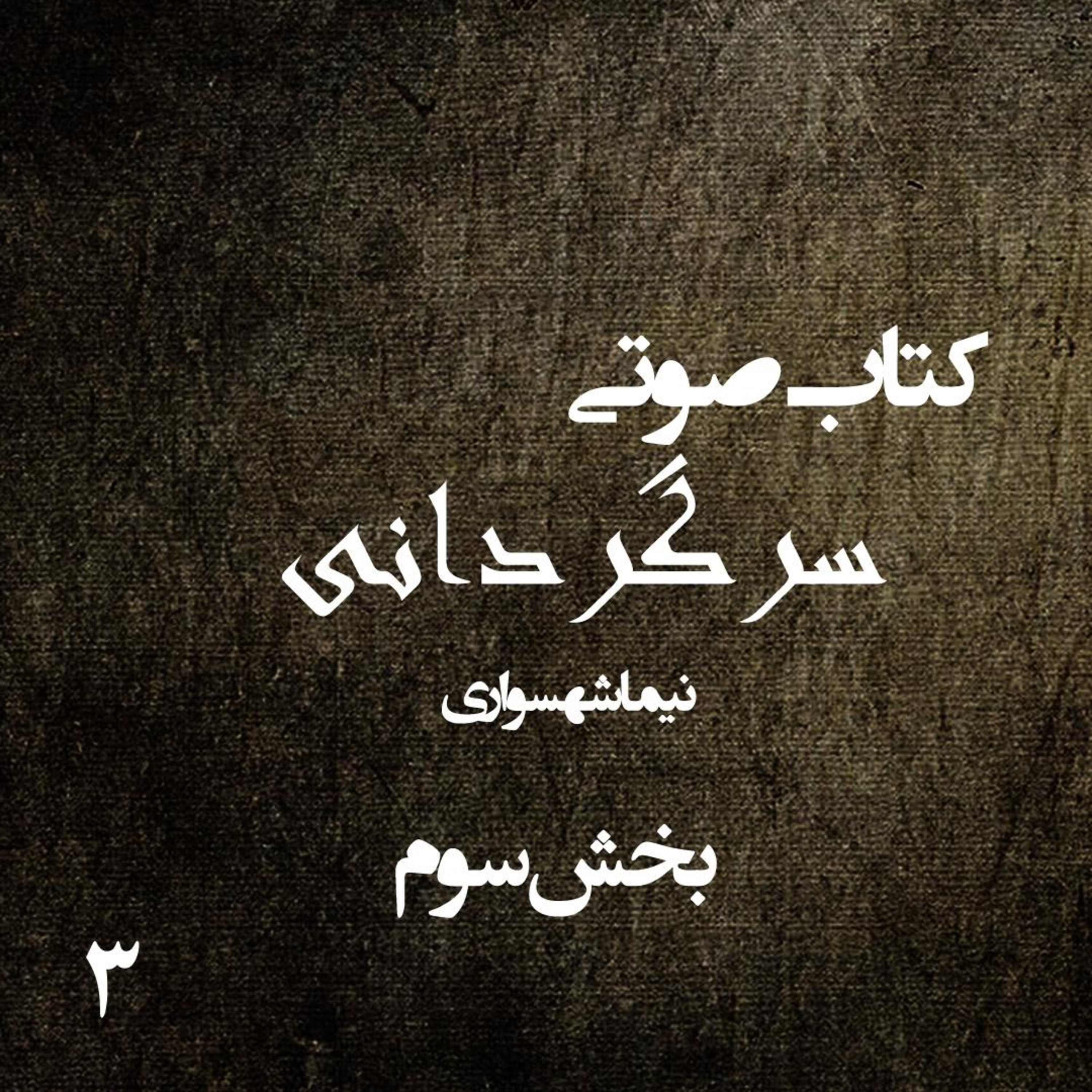 کتاب صوتی سرگردانی - بخش سوم - اثر نیما شهسواری