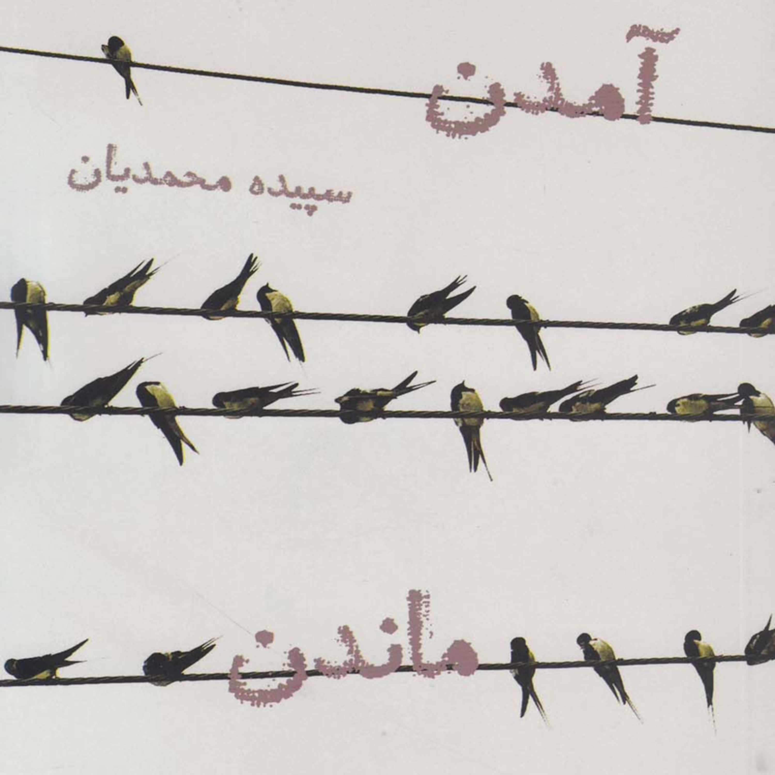 داستان كوتاه "جسد "