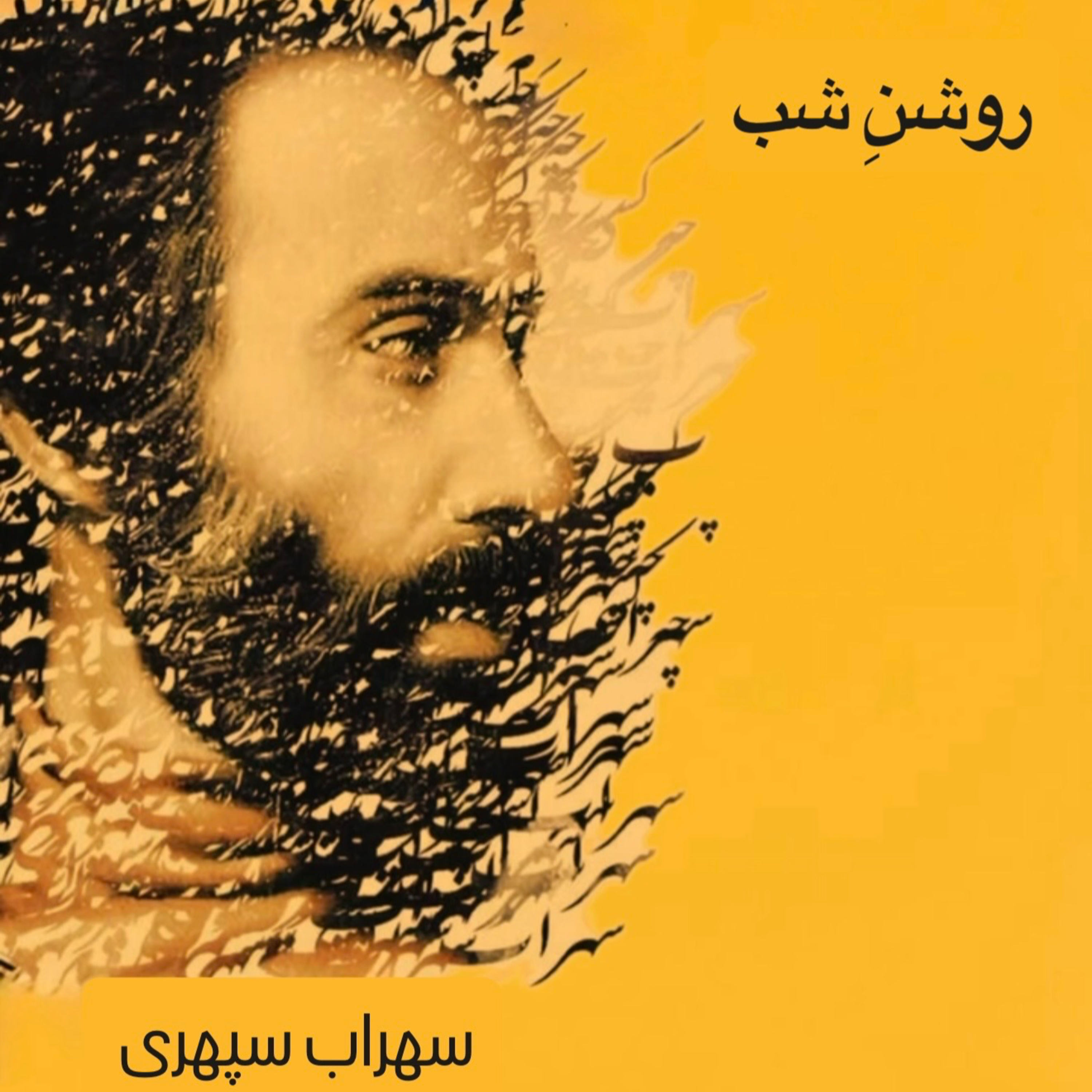 روشنِ شب